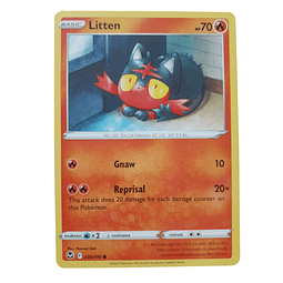 030/195 - Litten