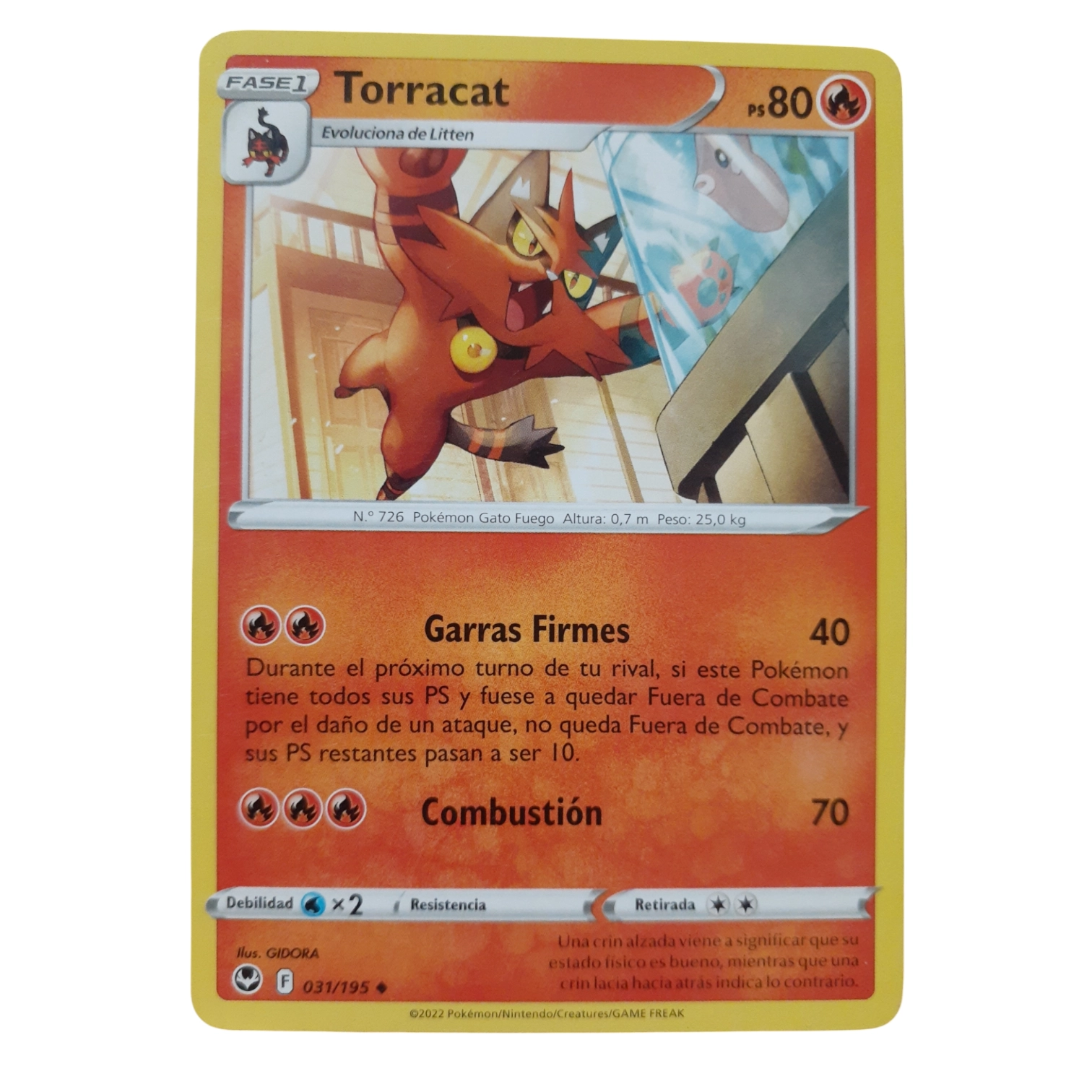 031/195 - Torracat (español)