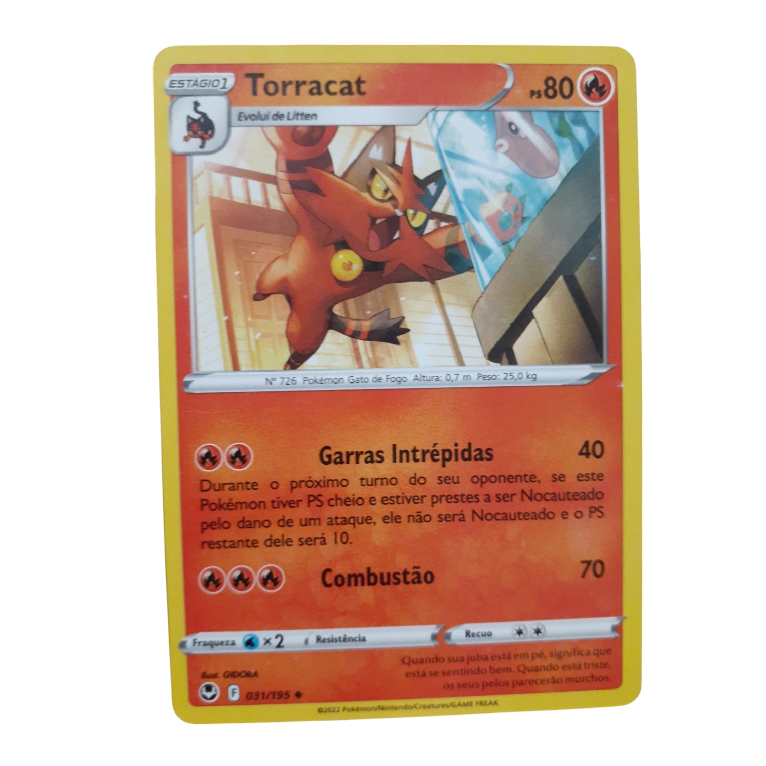 031/195 - Torracat (portugués)