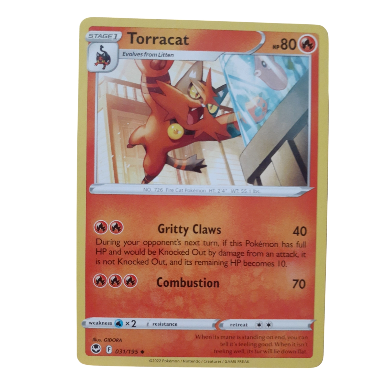 031/195 - Torracat
