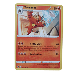031/195 - Torracat