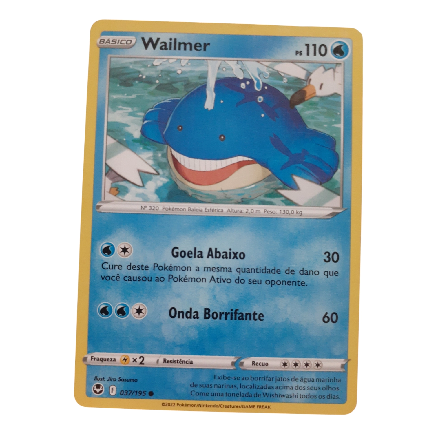 037/185 - Wailmer (portugués)