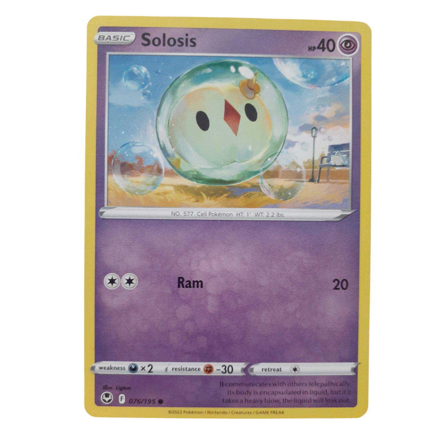 076/195 - Solosis