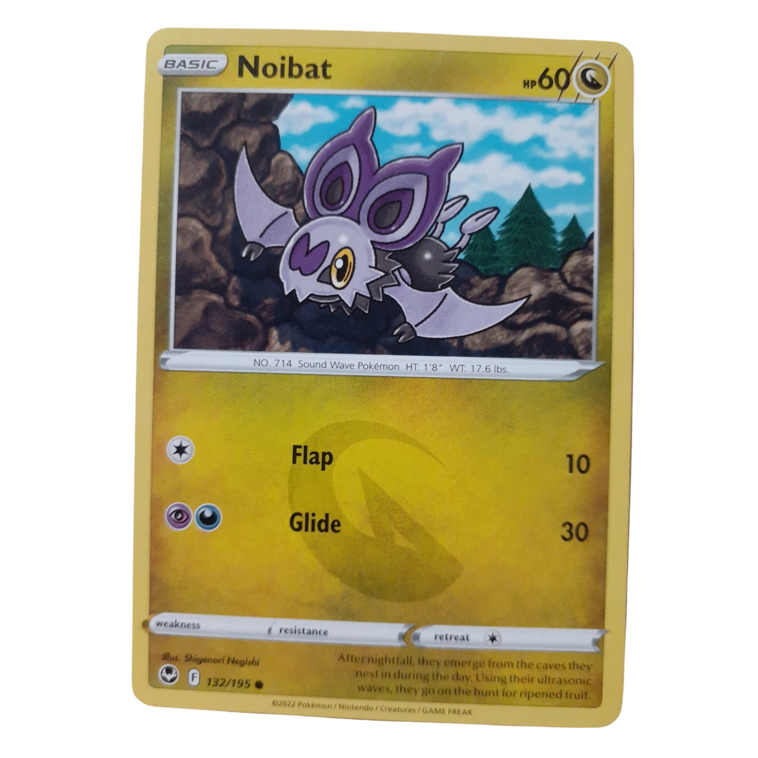 132/195 - Noibat
