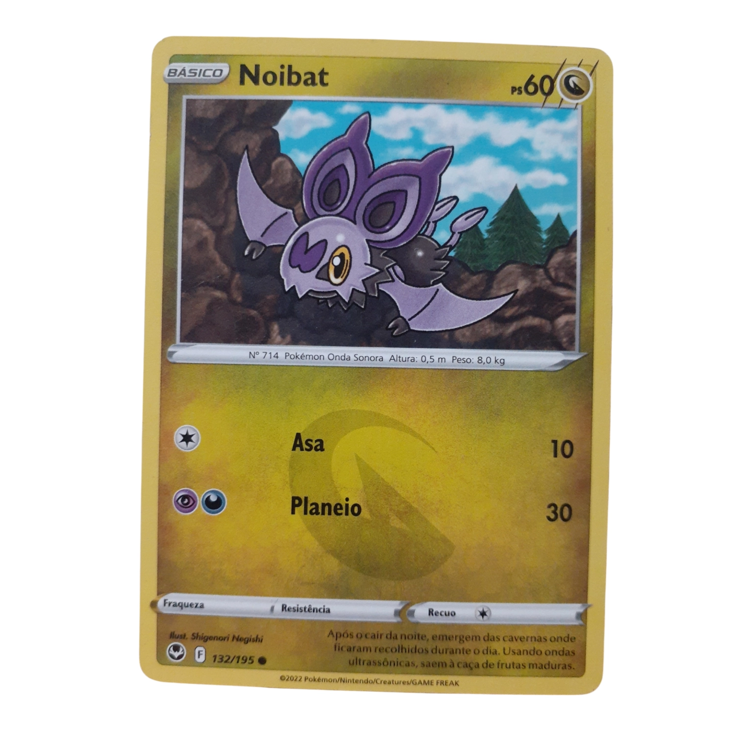 132/195 - Noibat (portugués) 