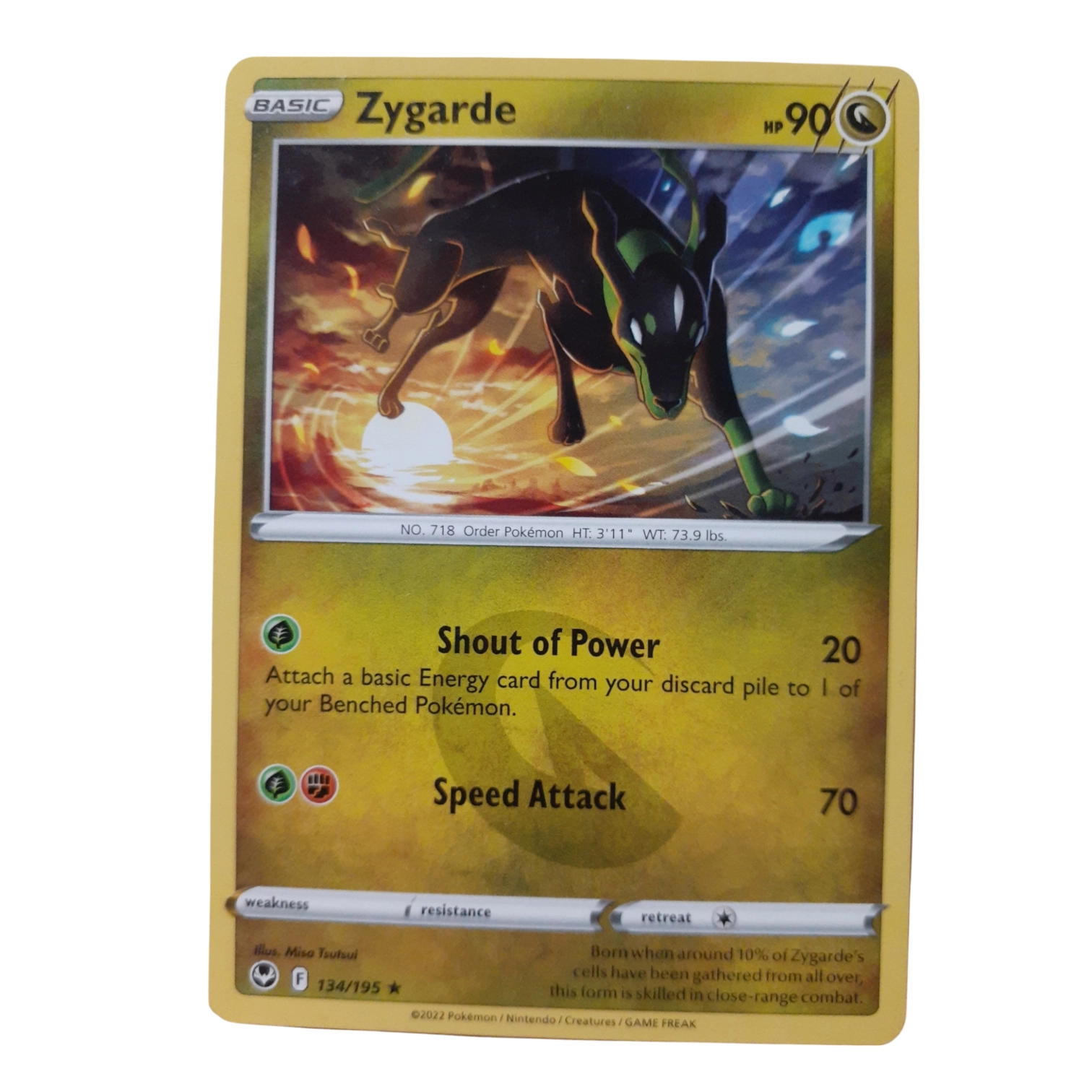134/195 - Zygarde