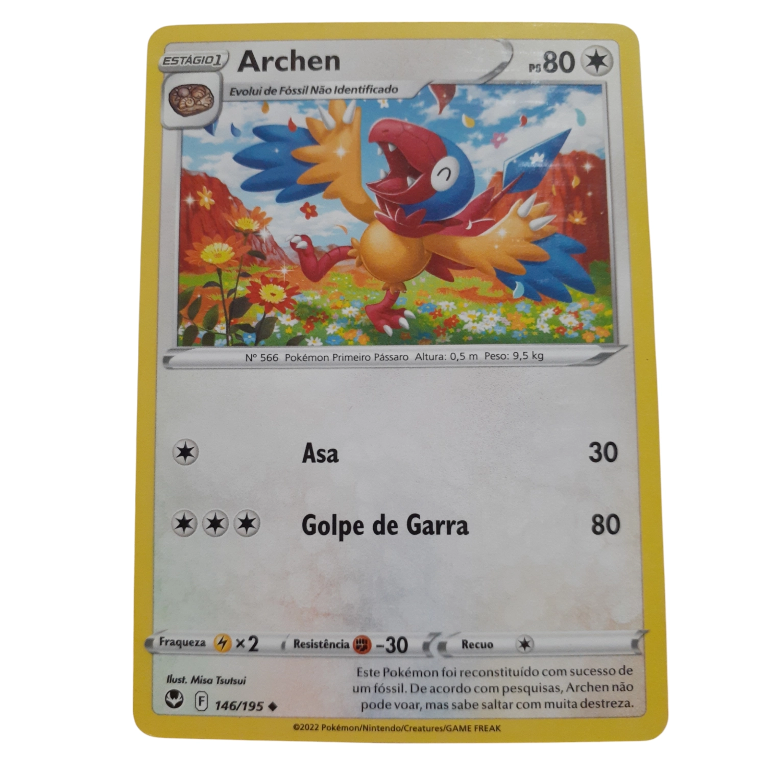 146/195 - Archen (portugués)