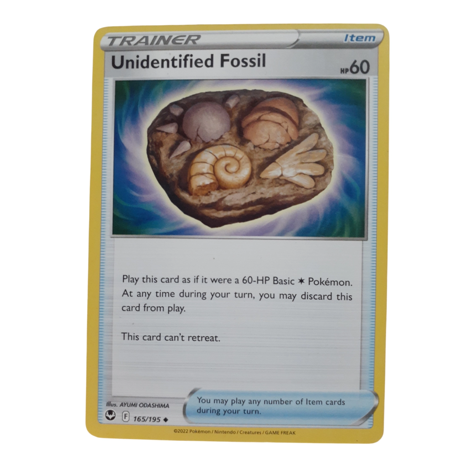 165/195 - Unidentified Fossil