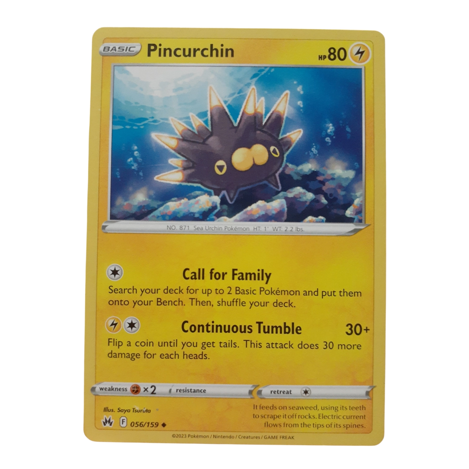 056/159 - Pincurchin