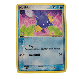 58/100 - Mudkip