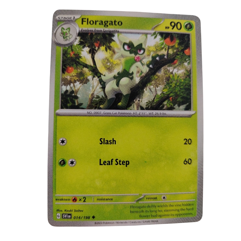 014/198 - Floragato