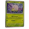 016/198 - Tarountula (español) 