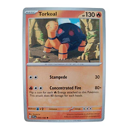 035/198 - Torkoal