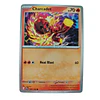 040/198 - Charcadet