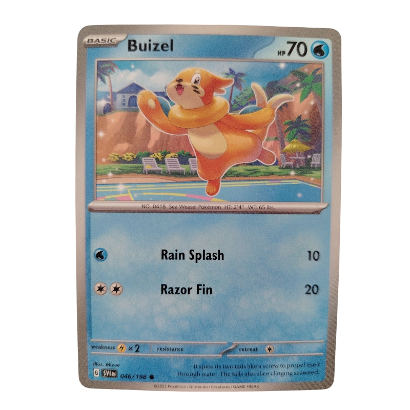046/198 - Buizel