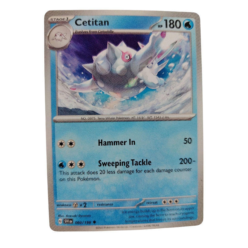 060/198 - Cetitan