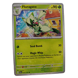 014/193 - Floragato