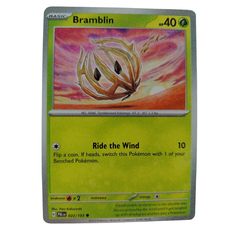022/193 - Bramblin