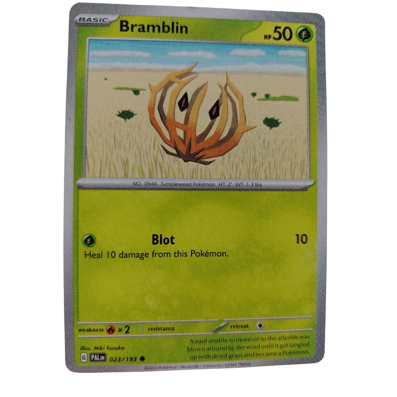 023/193 - Bramblin