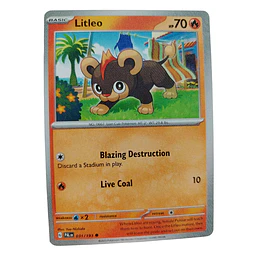 031/193 - Litleo