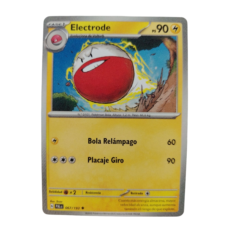 067/193 - Electrode (español) 