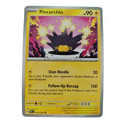 073/193 - Pincurchin