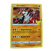 017/025 - Groudon