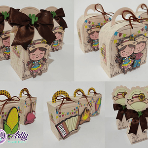 Caixinhas São João Variadas