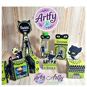 Cat Noir - Kit Festa 