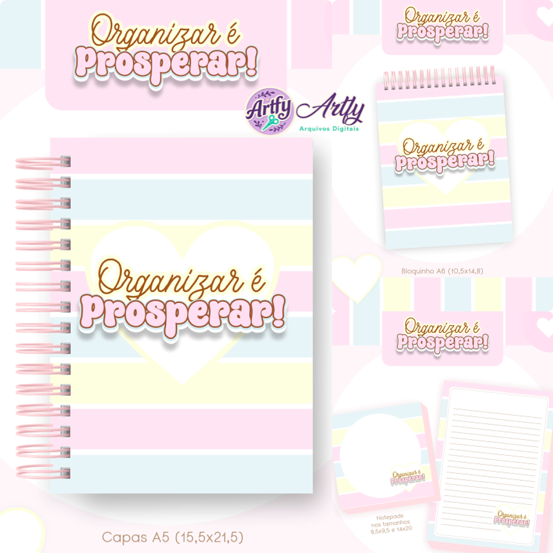 Combo Financeiro - Oganizar e Prosperar 1