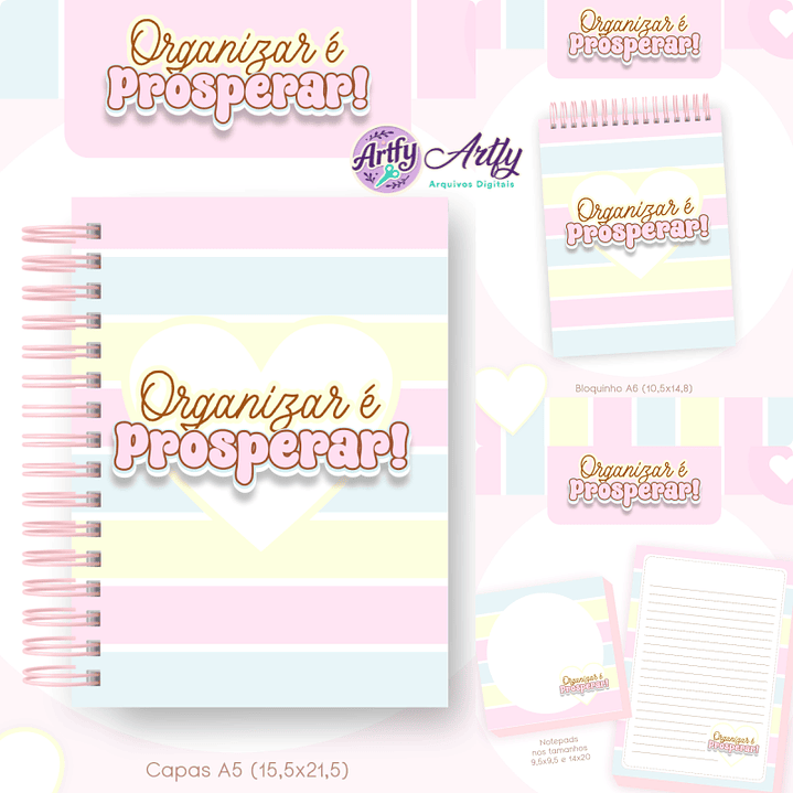 Combo Financeiro - Oganizar e Prosperar 1