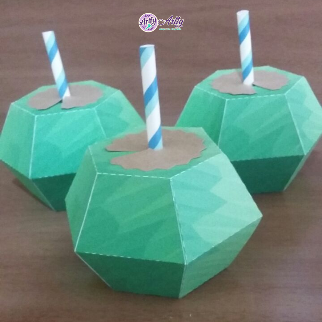 Caixa Água de Coco 1