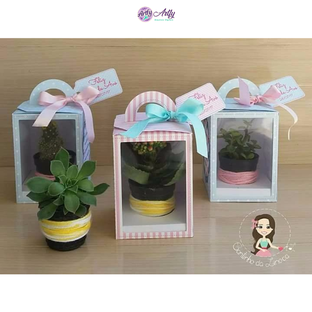 Caixa para Mini Suculenta 1