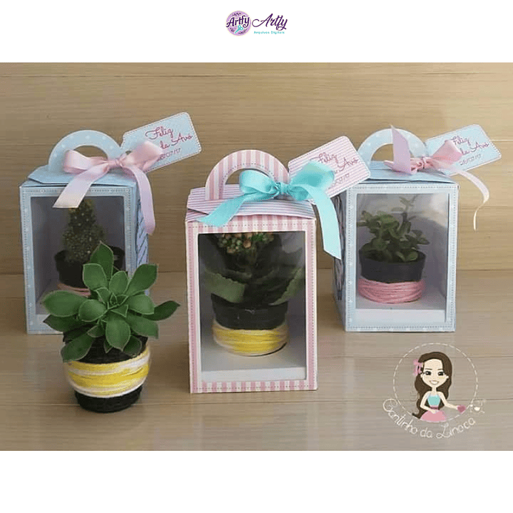 Caixa para Mini Suculenta 1