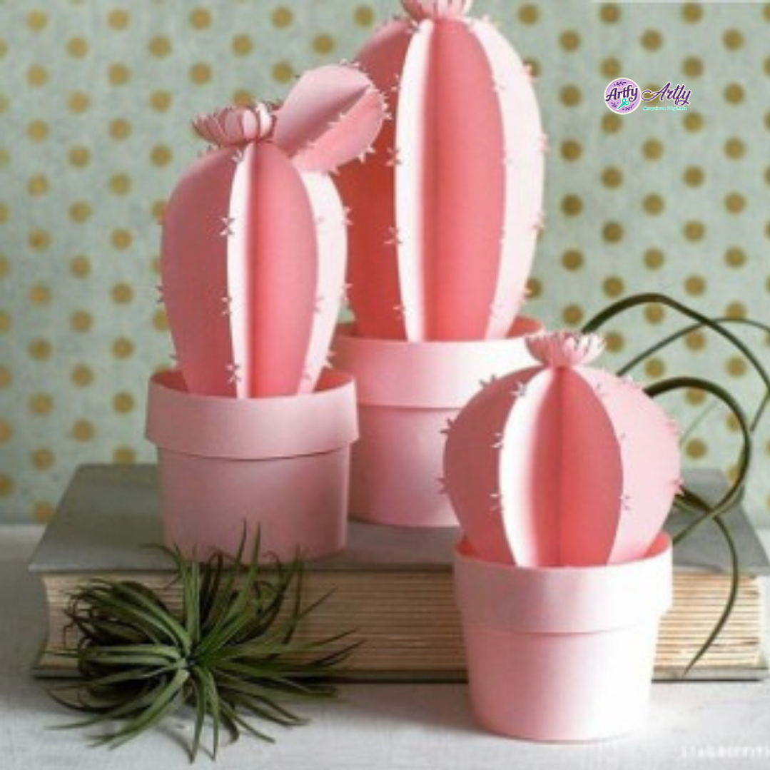 Vaso Cactos 3 Tamanhos 1