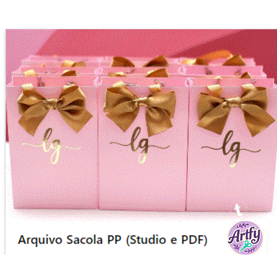 Caixa SACOLINHA 1