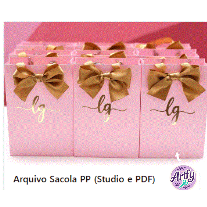 Caixa SACOLINHA 1