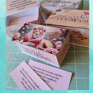 Caixa Promessas Feminino