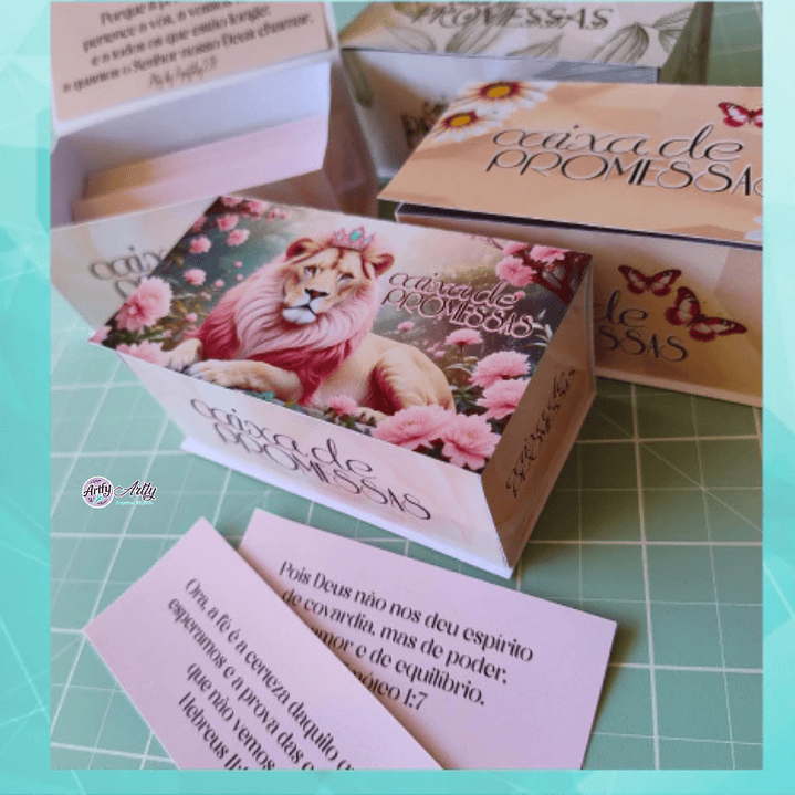 Caixa Promessas Feminino 1