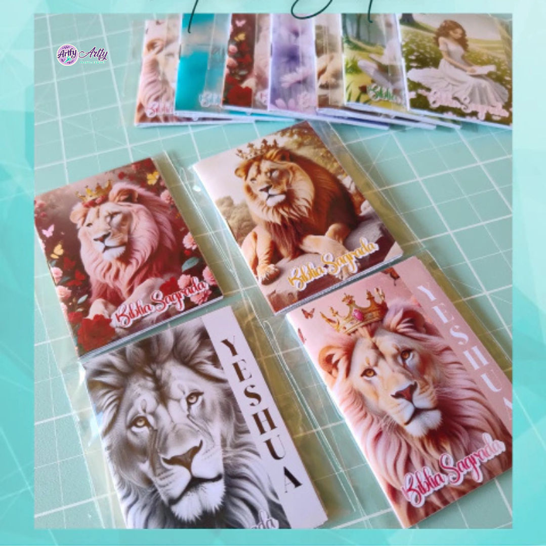 Coleção Mini Bíblia 1