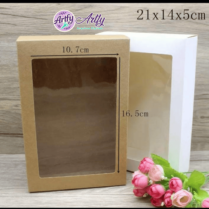 Caixas 20x17x5 1