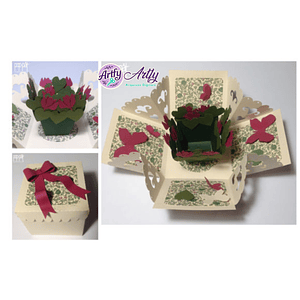 Caixa Explosiva Jardim