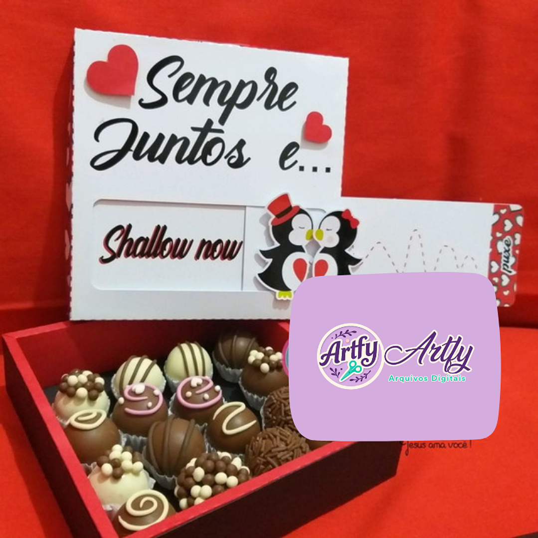Caixinha Sempre Juntos e Shallow Now 1