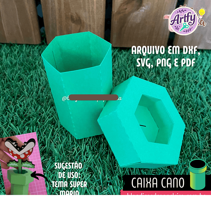 SUPER MARIO - CAIXA CANO 1