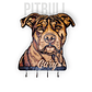Perchero Pitbull - Miniatura 1