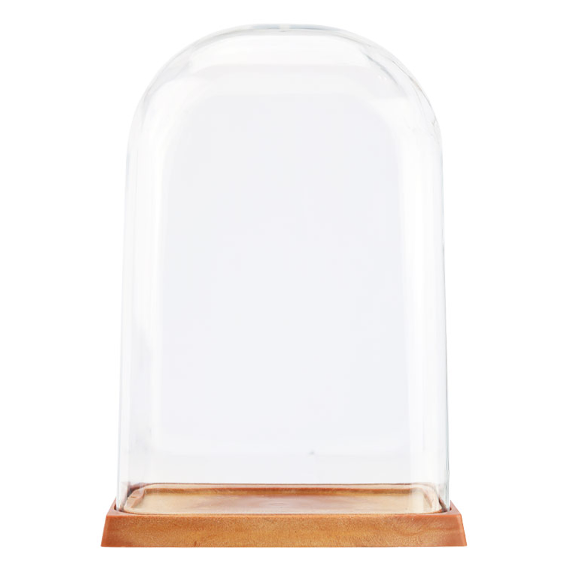 Cúpula acrílica 27 cm 1