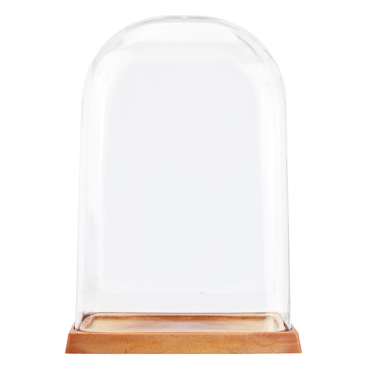 Cúpula acrílica 27 cm 1