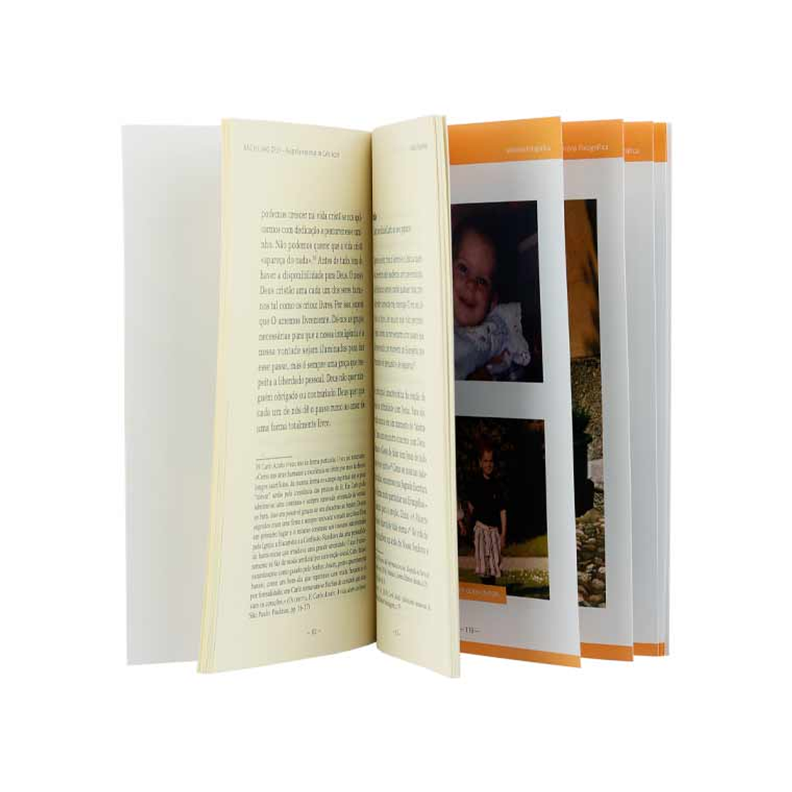 Spiritual biography of Carlo Acutis 2