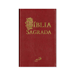 Santa Biblia cubierta flexible