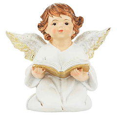 Little angel praying with book
